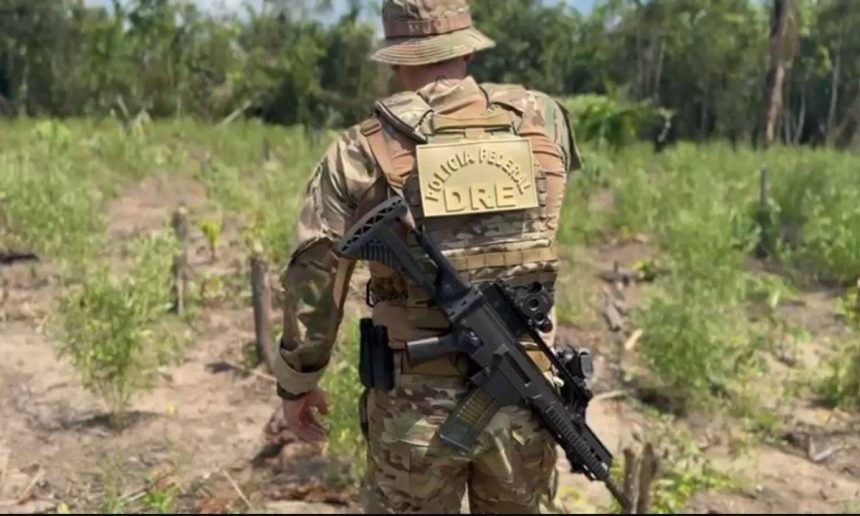 Policial federal com fuzil em operação de combate a plantação de maconha no Amazonas.
