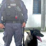 Policial militar com cão farejador Zeus, combatendo o tráfico de drogas no Amazonas.