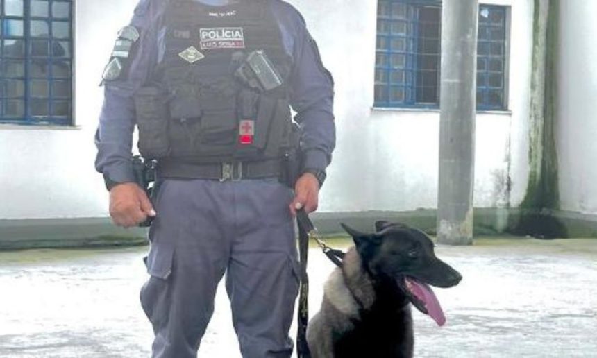 Policial militar com cão farejador Zeus, combatendo o tráfico de drogas no Amazonas.