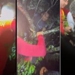 Resgate de homens após naufrágio no Rio Maués-Açu