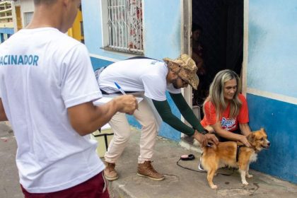 Vacinação antirrábica em Manaus: equipe aplica vacina em cachorro