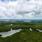 Vista aérea de rio serpenteando por floresta exuberante sob céu nublado.