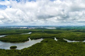 Vista aérea de rio serpenteando por floresta exuberante sob céu nublado.