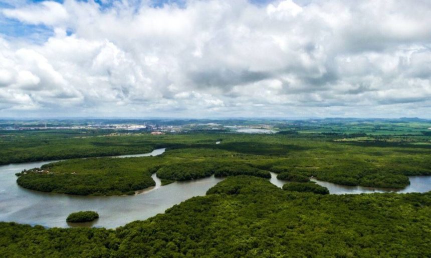 Vista aérea de rio serpenteando por floresta exuberante sob céu nublado.