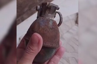 Granada é encontrada em caixa de papelão em Manacapuru