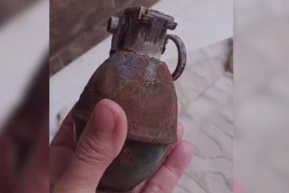 Granada é encontrada em caixa de papelão em Manacapuru