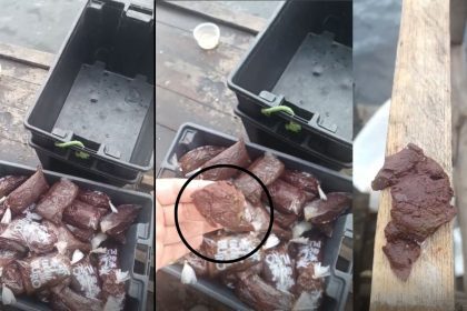 Consumidor diz ter encontrado papel higiênico misturado com açaí em Manaus