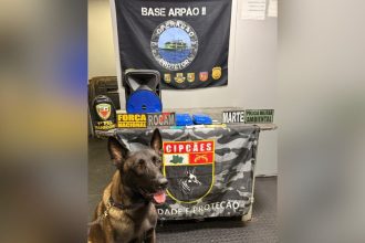 Polícia apreende drogas escondidas em caixa de som no Amazonas