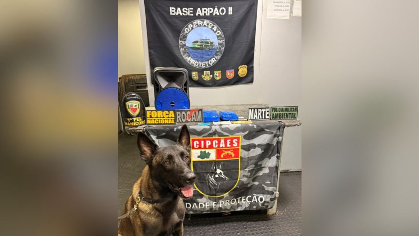 Polícia apreende drogas escondidas em caixa de som no Amazonas