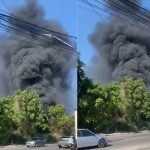 Incêndio atinge área de mata no Distrito Industrial
