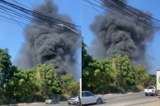 Incêndio atinge área de mata no Distrito Industrial
