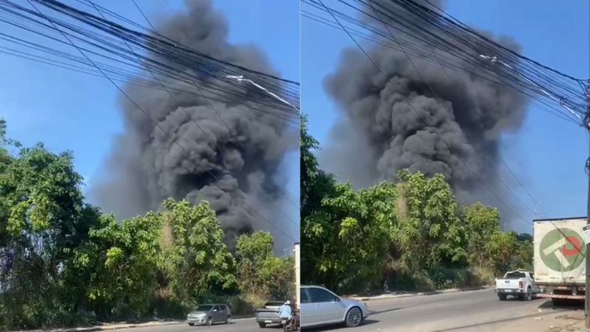 Incêndio atinge área de mata no Distrito Industrial