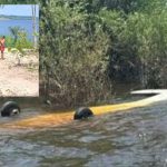 Avião suspeito e sem identificação é interceptado pela FAB em Tefé