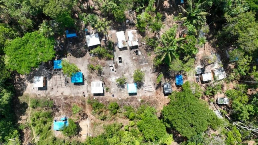 Polícia indicia nove pessoas por ocupação irregular em área de preservação no Tarumã