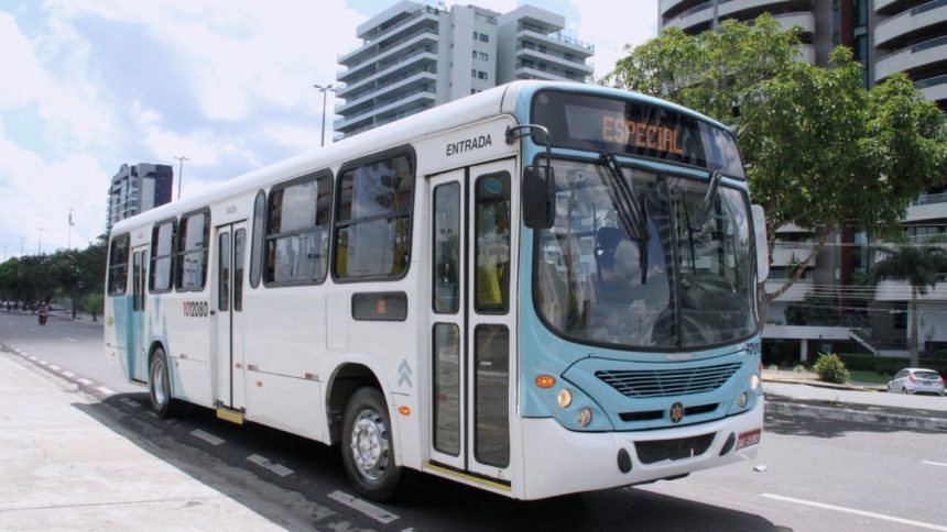Manaus terá linha especial de ônibus para o Jungle Matsuri