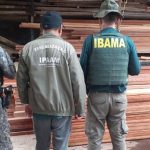 Agentes da Força Nacional e IBAMA em operação de fiscalização ambiental no Amazonas, em meio a madeira.