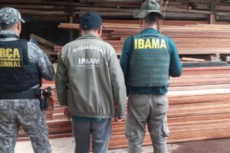 Agentes da Força Nacional e IBAMA em operação de fiscalização ambiental no Amazonas, em meio a madeira.