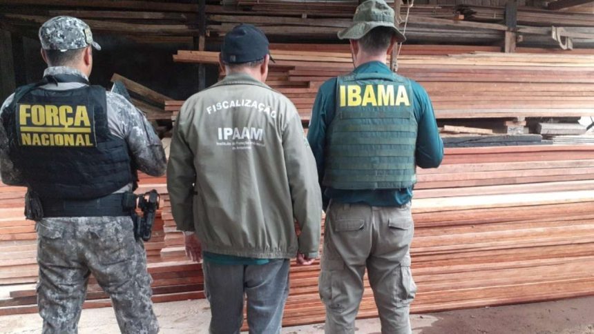Agentes da Força Nacional e IBAMA em operação de fiscalização ambiental no Amazonas, em meio a madeira.