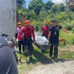 Bombeiros carregam corpo em maca em área de mata em comunidade.