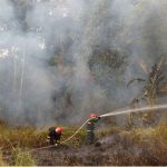 Bombeiros combatendo incêndio florestal no Amazonas, com fumaça densa.