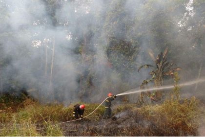 Bombeiros combatendo incêndio florestal no Amazonas, com fumaça densa.
