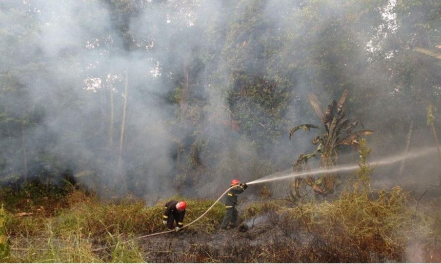 Bombeiros combatendo incêndio florestal no Amazonas, com fumaça densa.