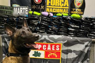 Cachorro policial com cocaína apreendida em barco. Operação policial em Manaus, Amazonas.