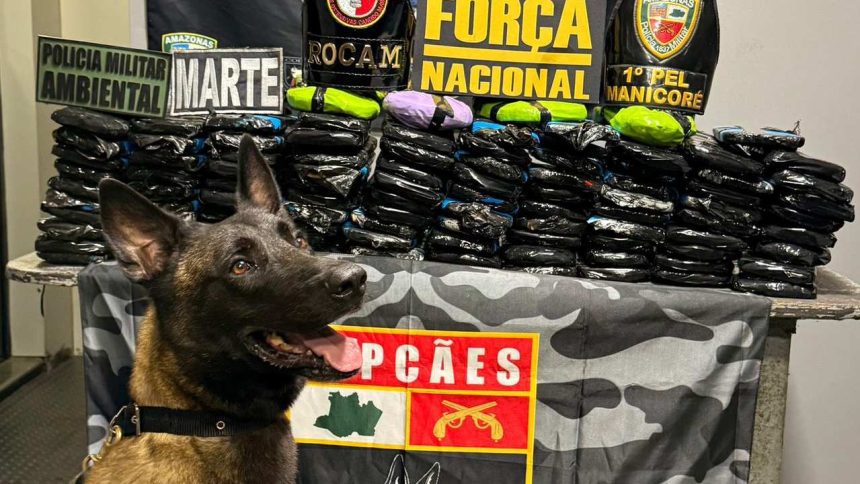 Cachorro policial com cocaína apreendida em barco. Operação policial em Manaus, Amazonas.