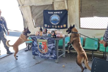 Cães farejadores da polícia em operação apreendem drogas.