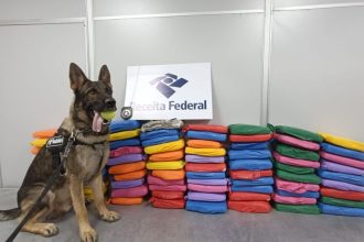 Cão farejador da Receita Federal com apreensão de drogas.