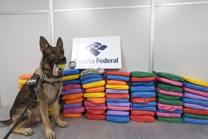 Cão farejador da Receita Federal com apreensão de drogas.