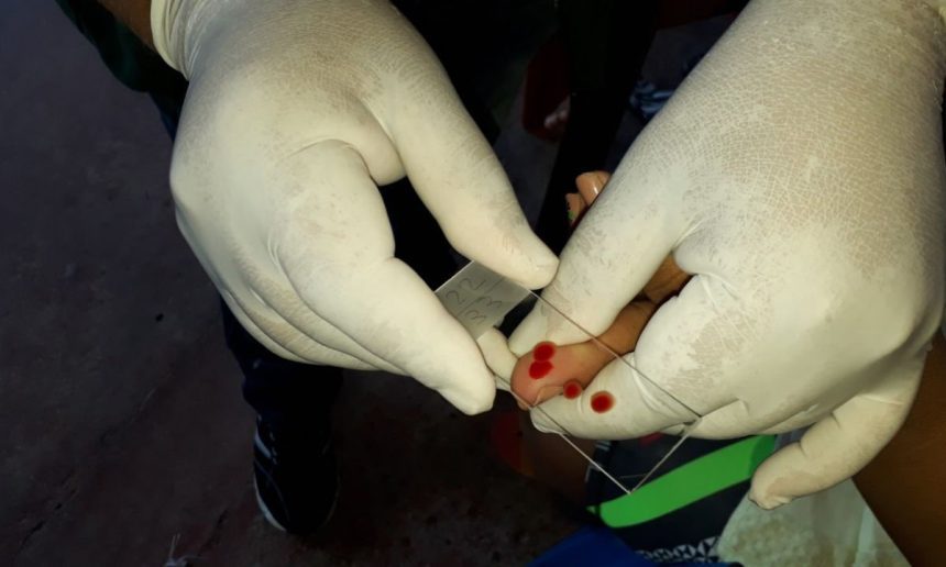 Coleta de sangue para teste de malária em Manaus.
