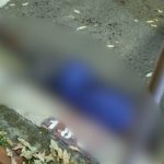 Corpo de homem em cena de crime com múltiplas perfurações.