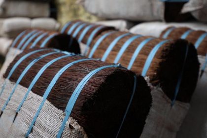 Fardos de piaçava amarrados com fitas azuis, prontos para transporte.