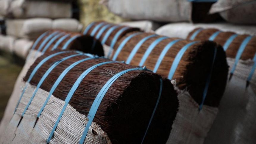 Fardos de piaçava amarrados com fitas azuis, prontos para transporte.