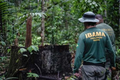 Fiscais do Ibama em área de floresta, investigando desmatamento e fiscalizando