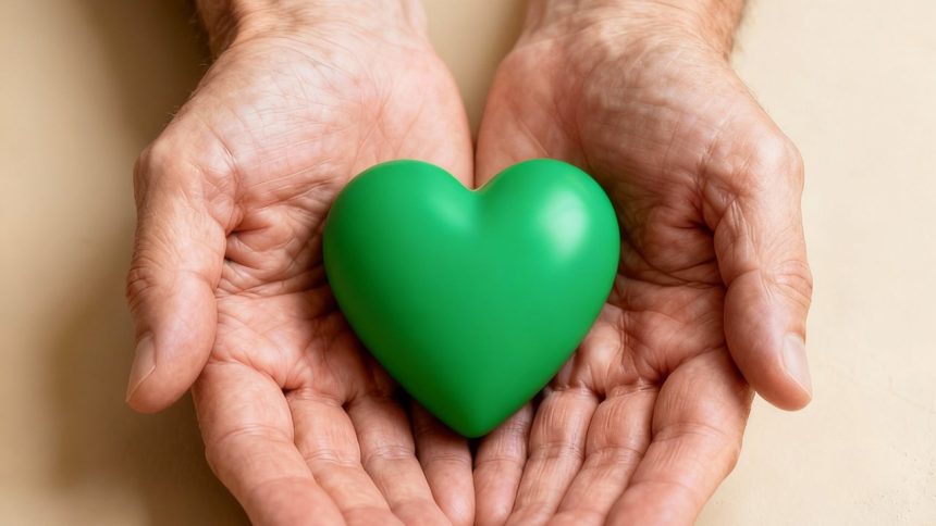 Mãos segurando um coração verde, simbolizando doação de órgãos