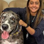 Mulher sorrindo com um cachorro grande, com focinho cinza e branco e olhos castanhos.