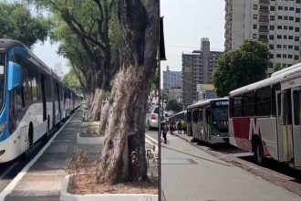 Ônibus parados em protesto, com árvores e prédios ao fundo.