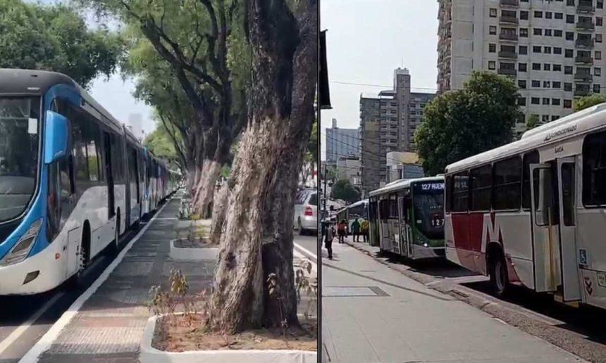 Ônibus parados em protesto, com árvores e prédios ao fundo.