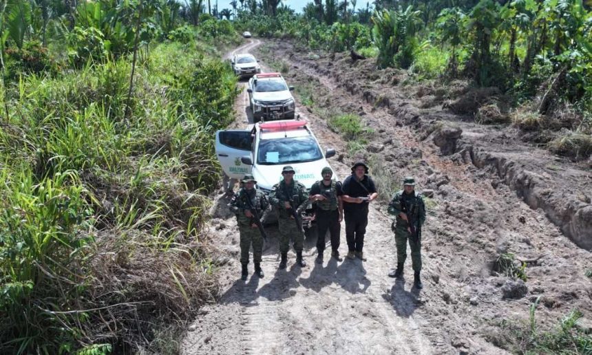 Operação Tamoiotatá 5: Veículos e equipe em mata, Amazonas.