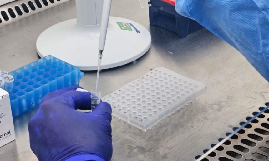 Pesquisador usando pipeta em laboratório, com placas e tubos.