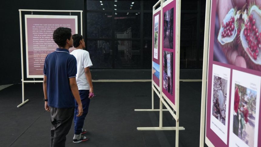 Pessoas observando fotos na exposição Olhares da Amazônia em Manaus.