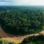 Desmatamento na Amazônia registra menor índice desde 2014, aponta Inpe