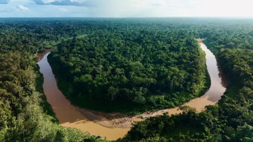Desmatamento na Amazônia registra menor índice desde 2014, aponta Inpe