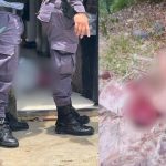 Filho suspeito de matar mãe a facadas é espancado até a morte em Manaus