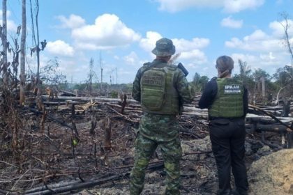 Ipaam aplica R$ 90 mil em multas por crimes ambientais no Amazonas