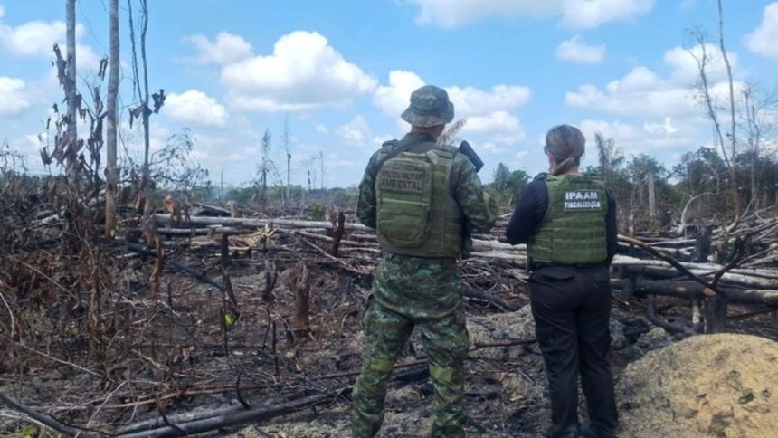 Ipaam aplica R$ 90 mil em multas por crimes ambientais no Amazonas