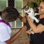 Vacinação antirrábica inicia nesta quarta-feira em Manaus