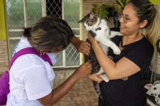Vacinação antirrábica inicia nesta quarta-feira em Manaus